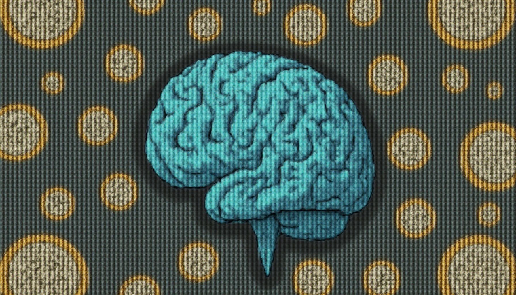 Memecoin investment risks and market psychology